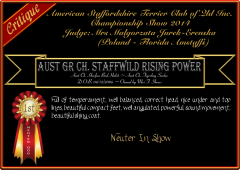 Staffwild Rising Power.png